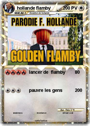 Pokemon hollande flamby