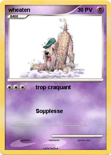 Pokemon wheaten