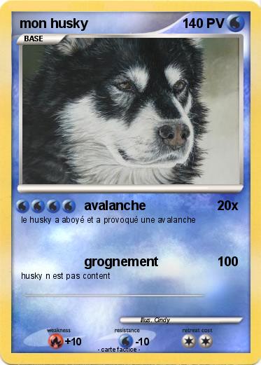 Pokemon mon husky