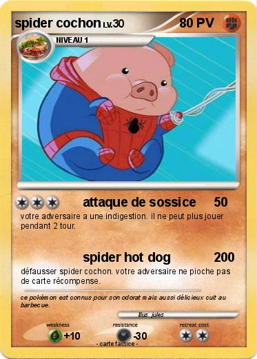 Pokemon spider cochon