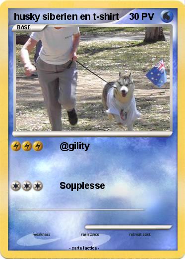 Pokemon husky siberien en t-shirt