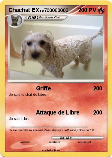 Pokemon Chachat EX
