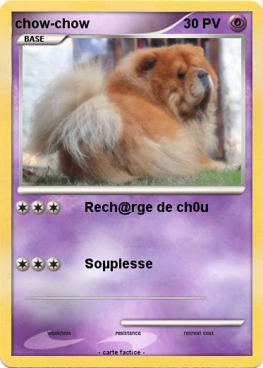 Pokemon chow-chow