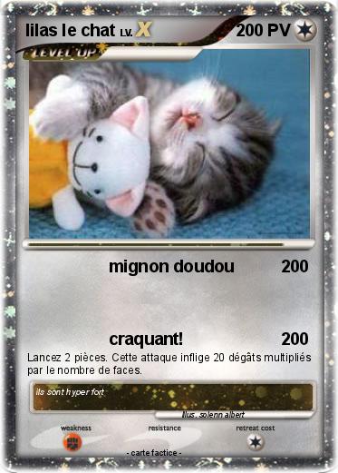 Pokemon lilas le chat
