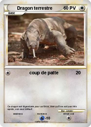 Pokemon Dragon terrestre