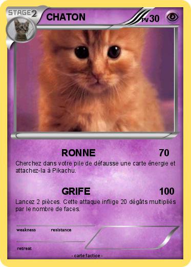 Pokemon CHATON