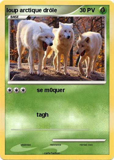 Pokemon loup arctique drôle