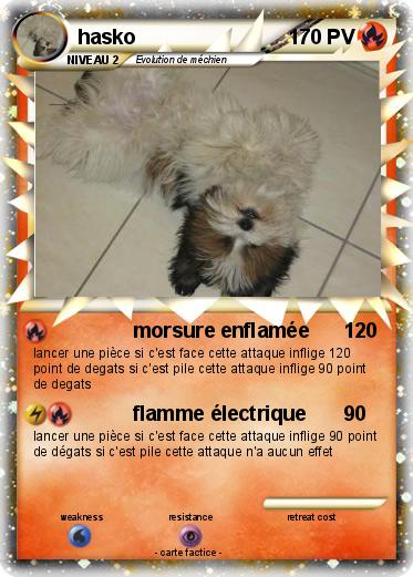 Pokemon hasko