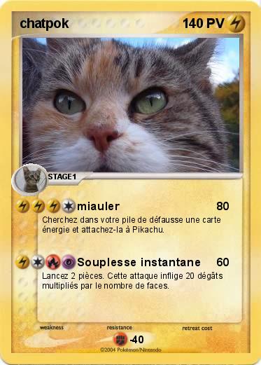 Pokemon chatpok