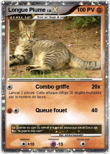 Pokemon Longue Plume