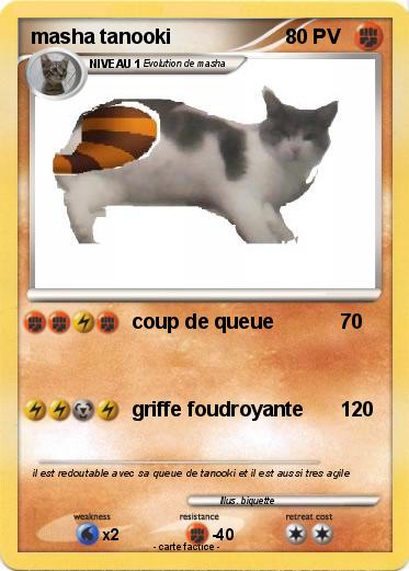 Pokemon masha tanooki