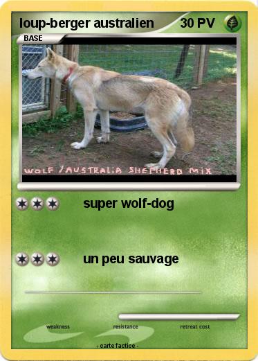 Pokemon loup-berger australien