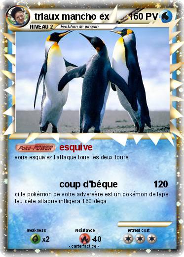 Pokemon triaux mancho ex