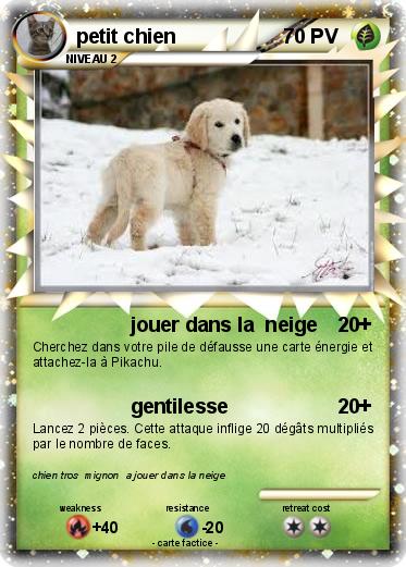 Pokemon petit chien