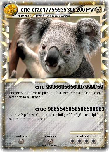 Pokemon cric crac17755535398