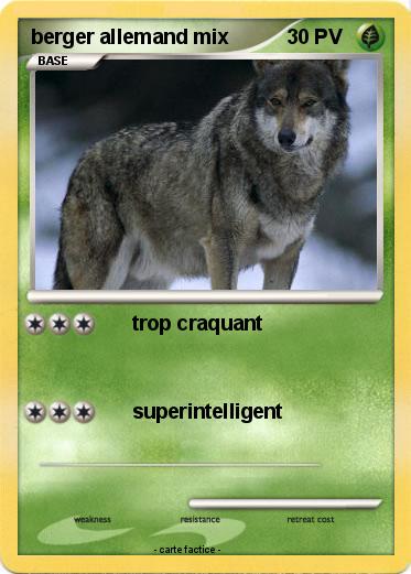 Pokemon berger allemand mix