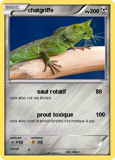 Pokemon chatgriffe