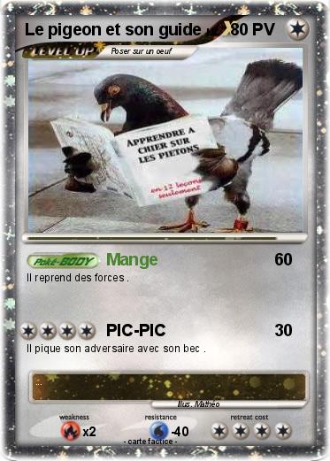 Pokemon Le pigeon et son guide