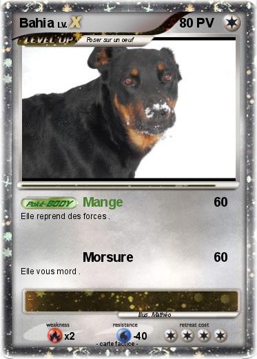 Pokemon Bahia