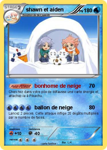 Pokemon shawn et aiden