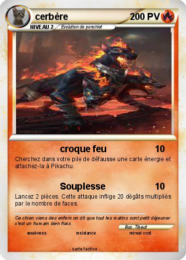 Pokemon cerbère