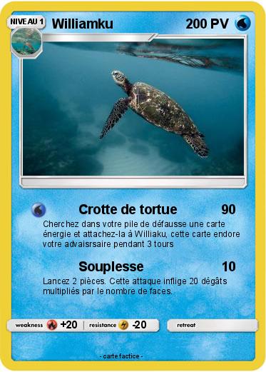 Pokemon Williamku