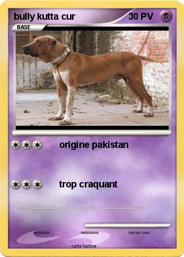 Pokemon bully kutta cur