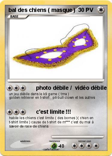 Pokemon bal des chiens ( masque )