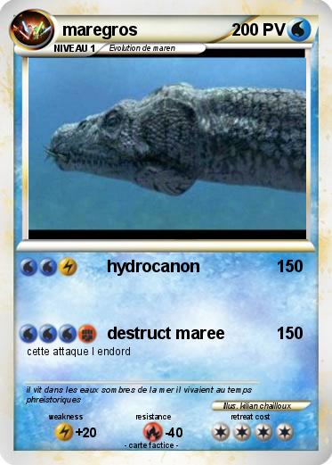 Pokemon maregros