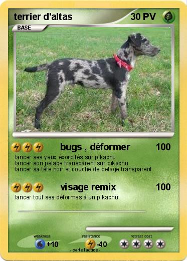 Pokemon terrier d'altas