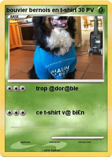 Pokemon bouvier bernois en t-shirt