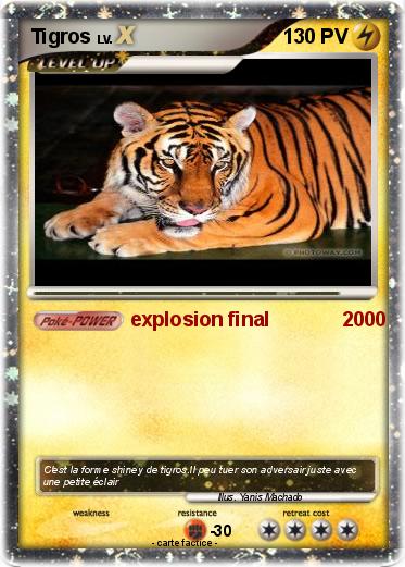 Pokemon Tigros