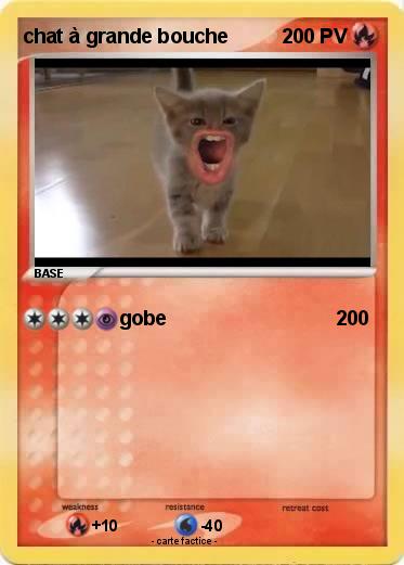 Pokemon chat à grande bouche