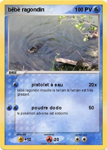 Pokemon bébé ragondin