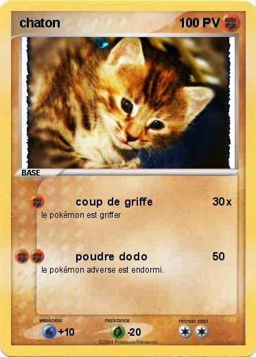 Pokemon chaton