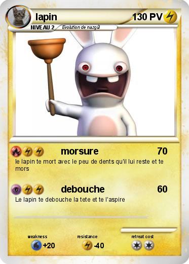 Pokemon lapin