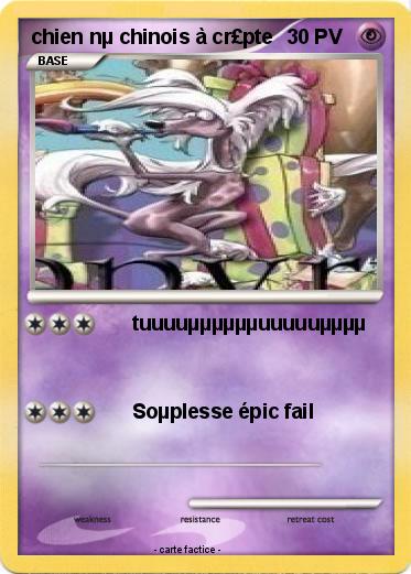 Pokemon chien nµ chinois à cr£pte