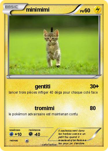 Pokemon minimimi
