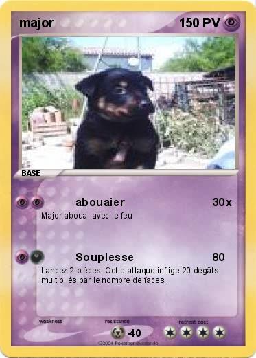 Pokemon major