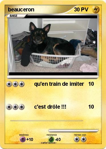 Pokemon beauceron