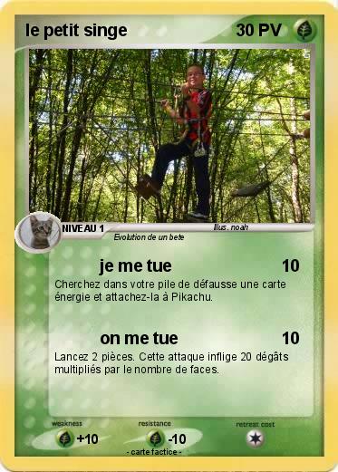 Pokemon le petit singe