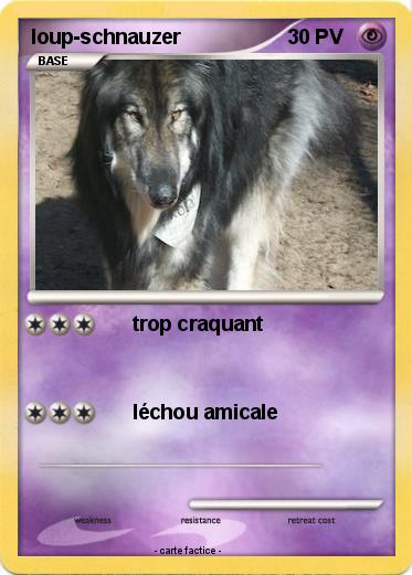 Pokemon loup-schnauzer