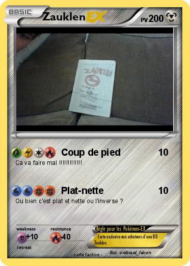 Pokemon Zauklen