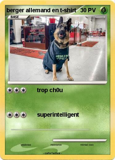 Pokemon berger allemand en t-shirt