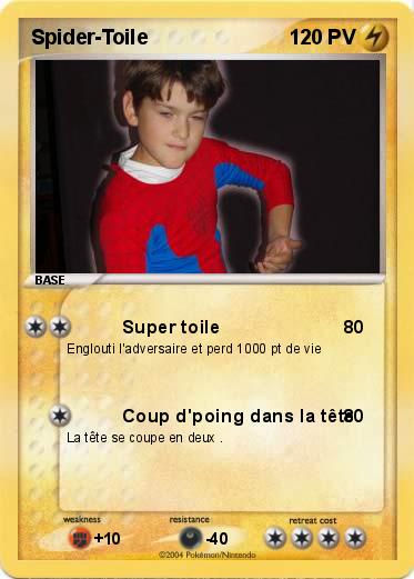 Pokemon Spider-Toile