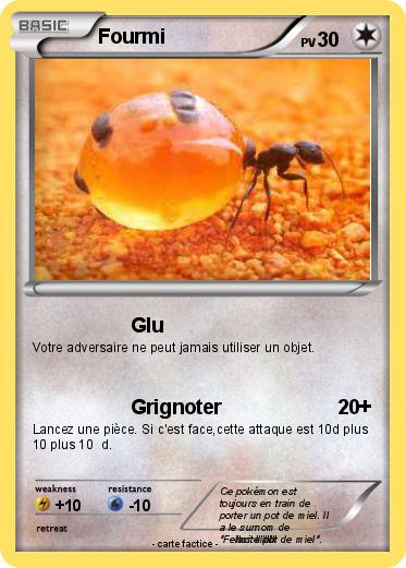 Pokemon Fourmi