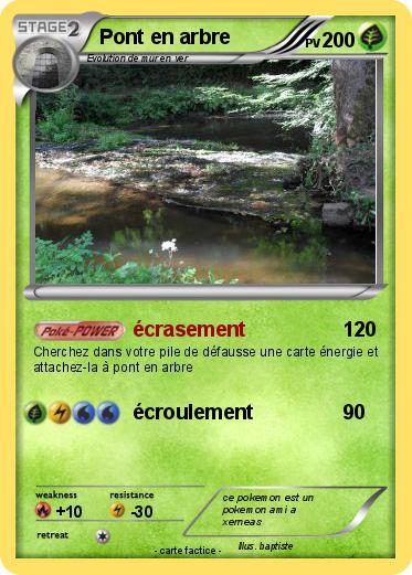 Pokemon Pont en arbre