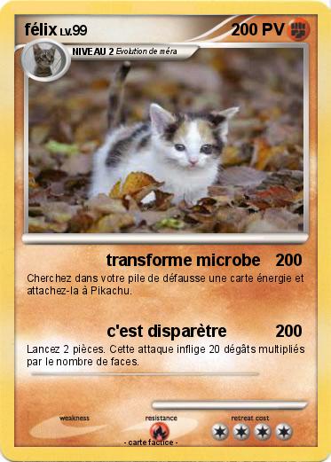Pokemon félix