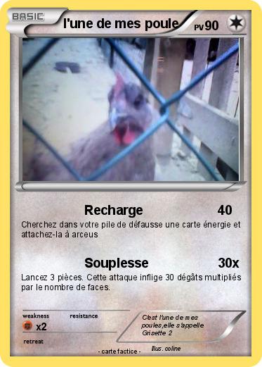 Pokemon l'une de mes poule