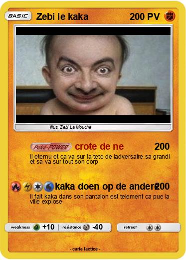 Pokemon Zebi le kaka